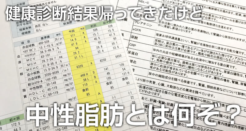 「中性脂肪」が400超えたけど「中性脂肪」とはなんぞ?
